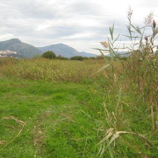 Monte San Biagio (8)