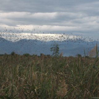 Monte San Biagio (9)