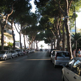 terracina (26)